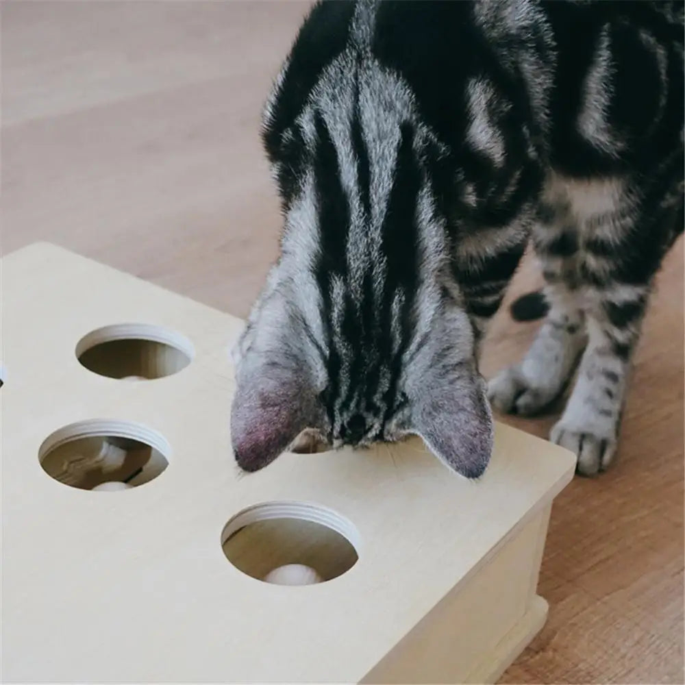 Interactive Wooden Cat Toy