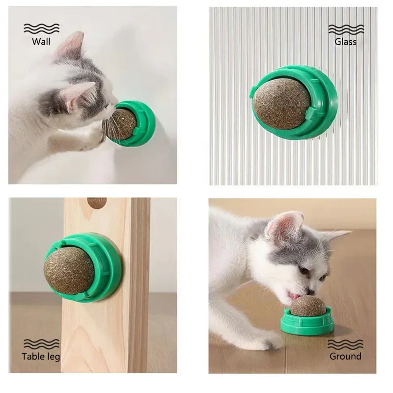 Natural Catnip Licking Ball | Interactive Cat Treat