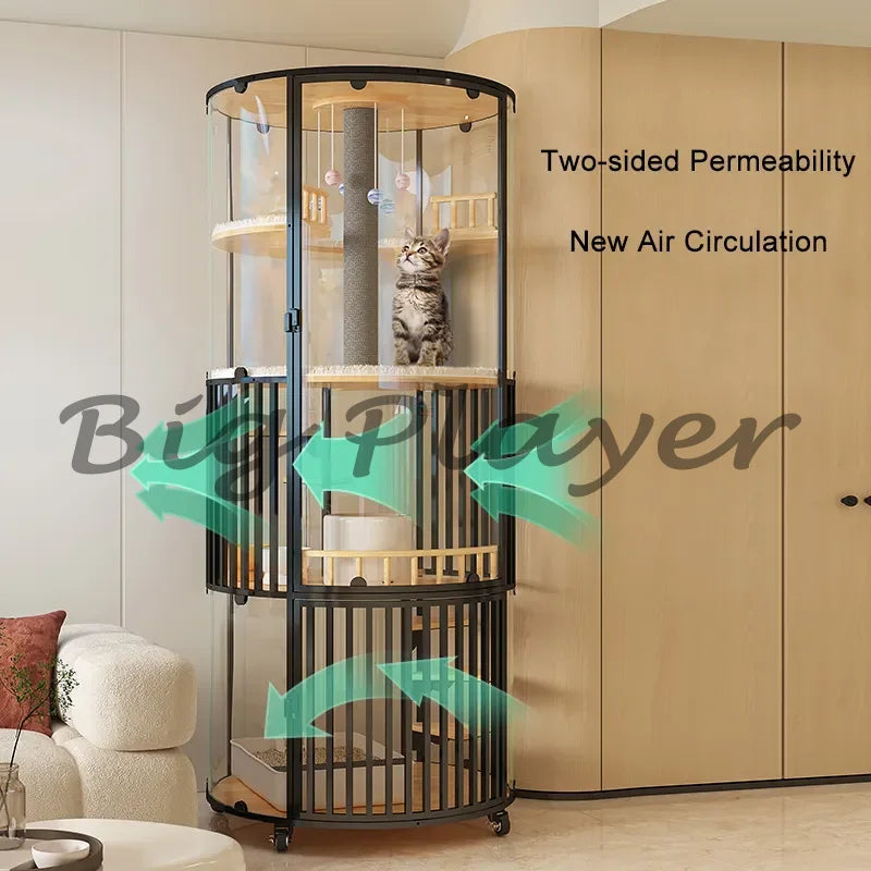 Luxury Transparent Cat Villa Tower