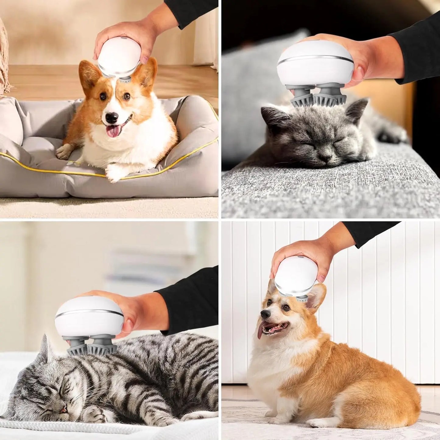 Pet Relaxation Massage Device