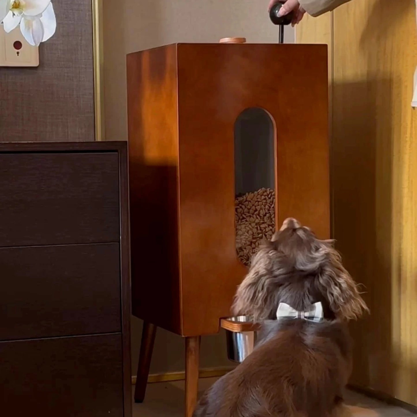 Automatic Pet Food Dispenser