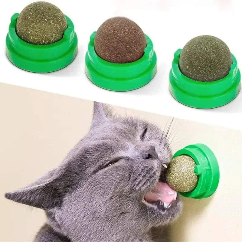 Natural Catnip Licking Ball | Interactive Cat Treat