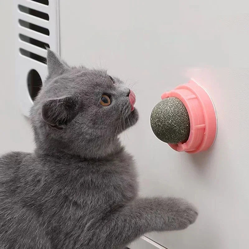 Natural Catnip Licking Ball | Interactive Cat Treat