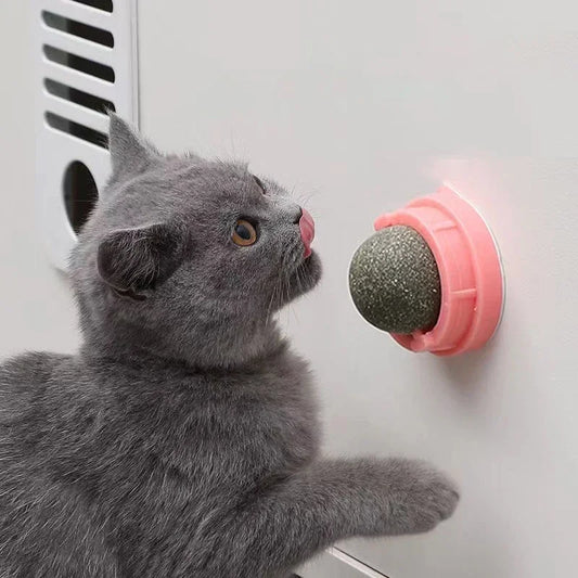 Natural Catnip Licking Ball | Interactive Cat Treat